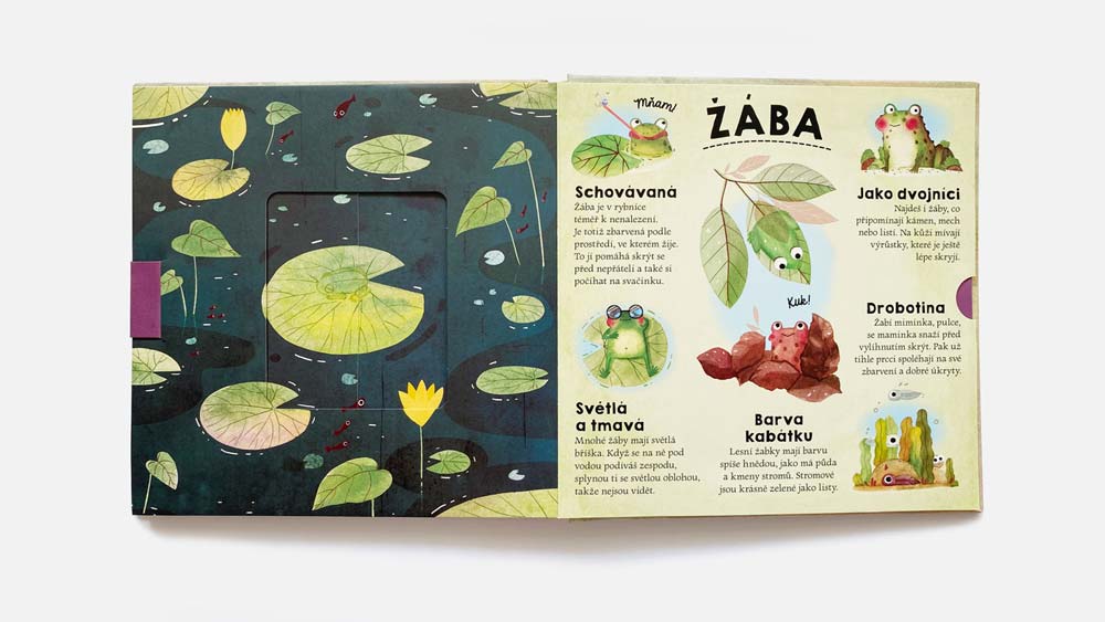 picture book spread about frogs mimicry