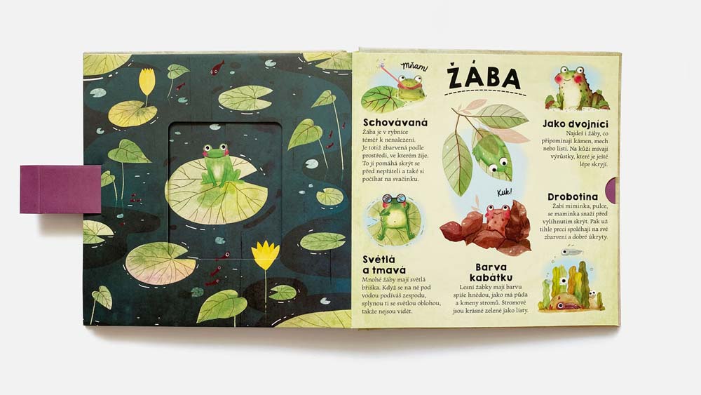 picture book spread about frogs